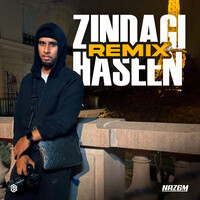 Zindagi Haseen (Remix)