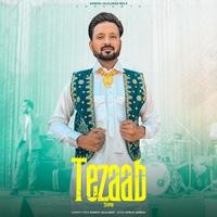 Tezaab