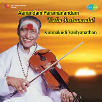 Aanandham Paramanandham - Violin