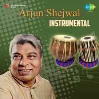 Arjun Shejwal Instrumental