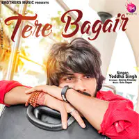 Tere Bagair