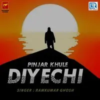 Pinjar Khule Diyechi