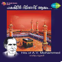 Pakalil Nishani Aalam; Hits Of A V Mohammed