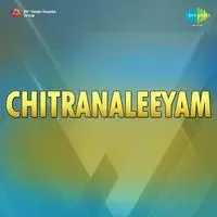 Chitranaleeyam