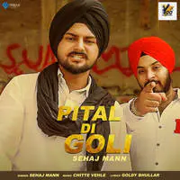 Pittal Di Goli