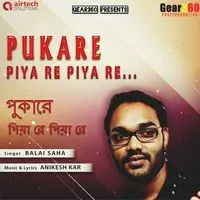 Pukare Piya Re Piya Re