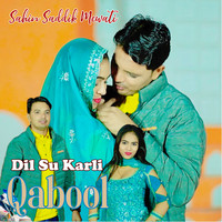 Dil Su Karli Qabool