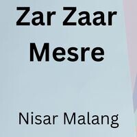 Zar Zaar Mesre