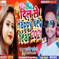 Dil Se Happy New year