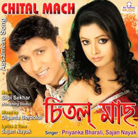 Chital Mach