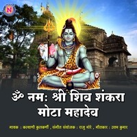 Om Namah Shree Shiv Shankara Mota Mahadev