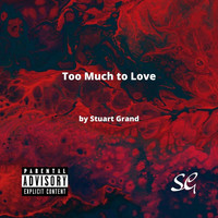 Too Much to Love