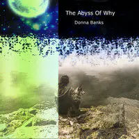 The Abyss of Why