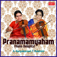 Pranamamyaham (Violin Delights) (Instrumental)