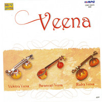 Veena - Vichitra Veena Rudra Veena Saraswati Veena