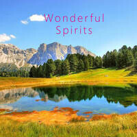 Wonderful Spirits