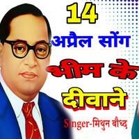 14 Aprail Song Bhim Ke Diwane