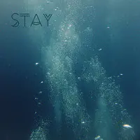 Stay