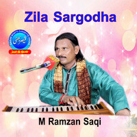 Zila Sargodha