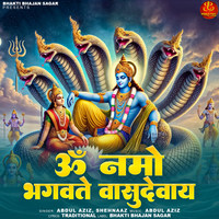 Om Namo Bhagwate Vasudevay