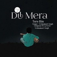 Dil Mera Tere Bin