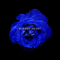 Barbed Heart 2