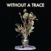 Without a Trace