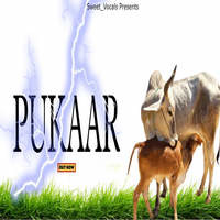 Pukaar