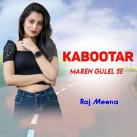 kabootar mare gulel se mp3 song download pagalworld djpunjab