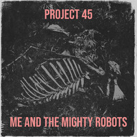 Project 45