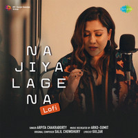 Na Jiya Lage Na - LoFI