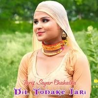 Dil Todake Jari