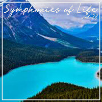 Symphonies of Life, Vol. 28 - Piazzolla; Bandoneon Concerto, The Four Seasons