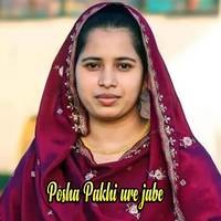 Posha Pakhi ure jabe