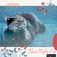 Silent Night Cat