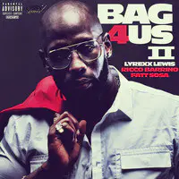 Bag 4 Us II
