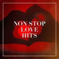 Non Stop Love Hits