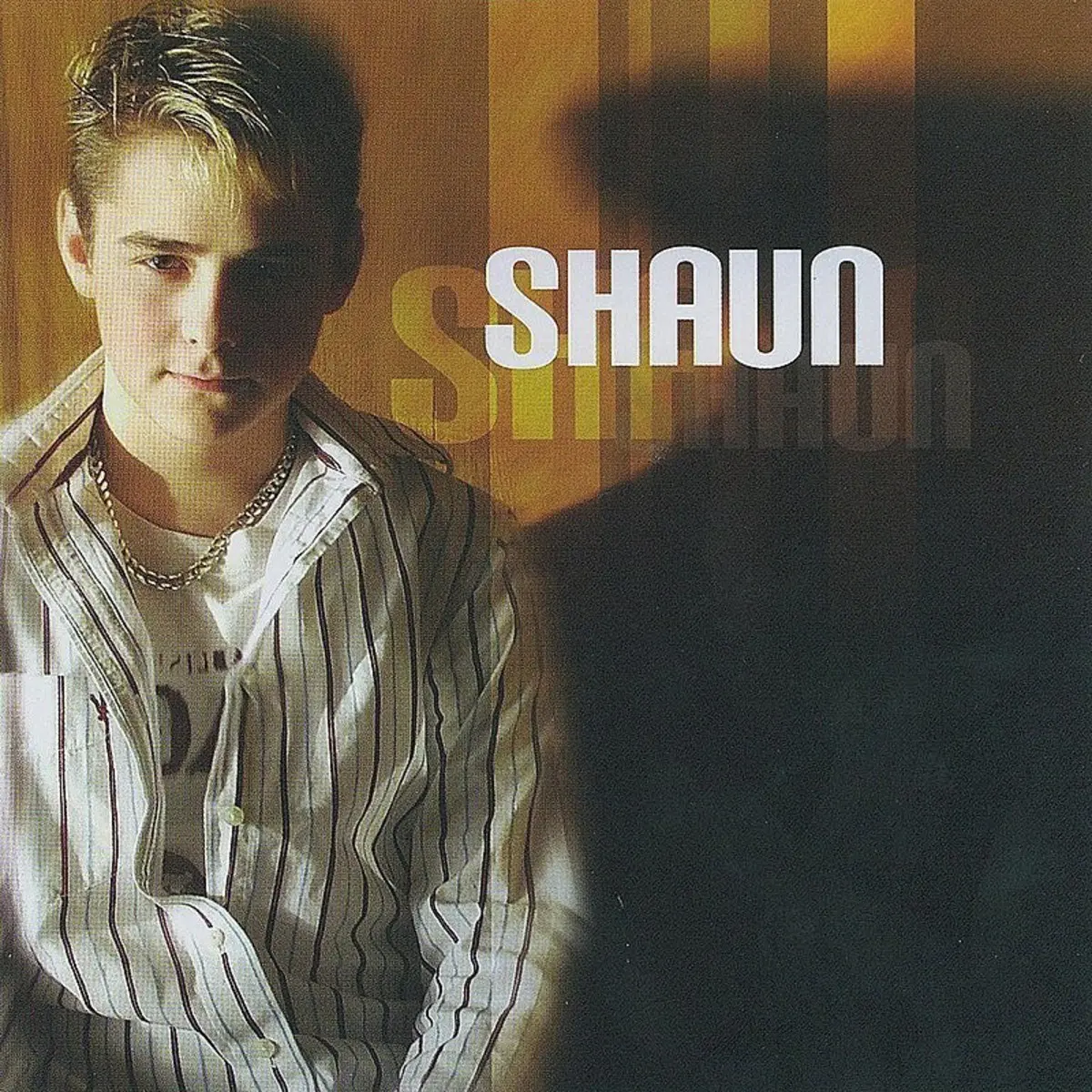 A Thousand Miles Mp3 Song Download Shaun A Thousand Miles Song By Shaun On Gaana Com