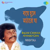Parikshit Bala Baghe Chhnule Atharo Gha