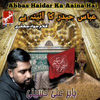 Abbas Haider Ka Aaina Hai