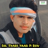 Dil Thari Yaad M Rov