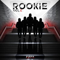 Rookie, Vol. 2