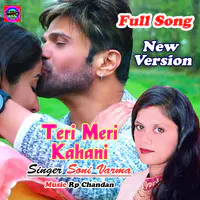 Teri Meri Kahani