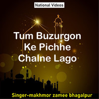 Tum Buzurgon Ke Pichhe Chalne Lago