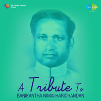 Tribute To Banikantha Nimeichara