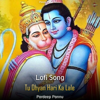 Tu Dhyan Hari Ka Lale - Lofi Song