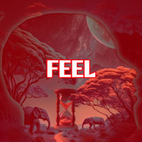 Feel