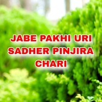 JABE PAKHI URI SADHER PINJIRA CHARI