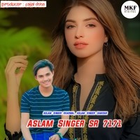 Aslam Singer SR 7171