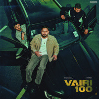 Vairi 100